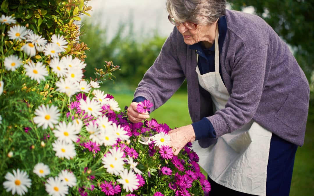 Gardening & Dementia – Practical Tips for Safe Outdoor Spaces